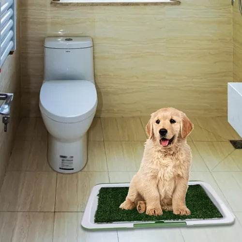 NUEVO BAÑO PARA MASCOTAS XL